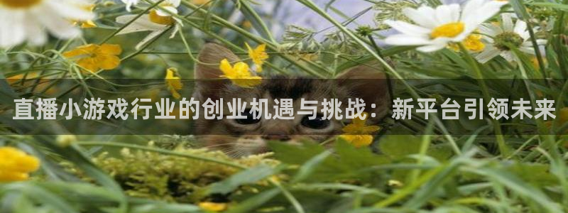 高德娱乐4招商：直播小游戏行业的创业机遇与挑战：新平台引领未