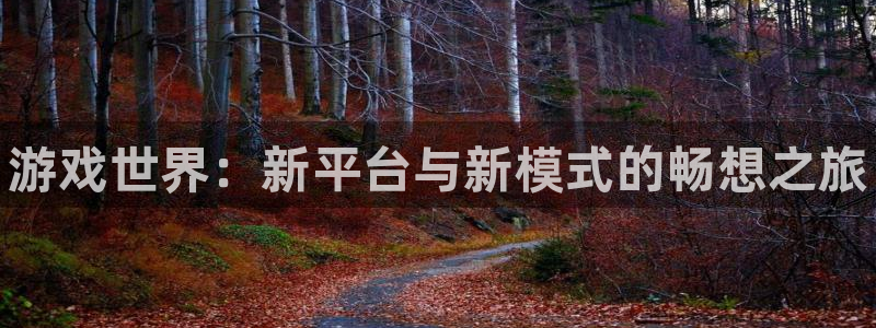 高德娱乐什么意思：游戏世界：新平台与新模式的畅想之旅