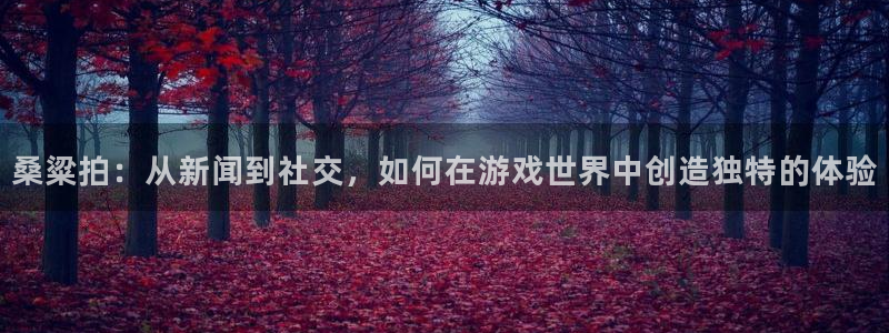 高德娱乐的意思：桑粱拍：从新闻到社交，如何在游戏世界中创造独