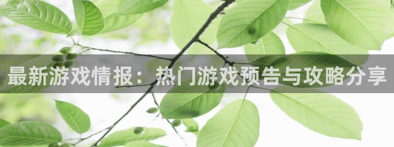 高德娱乐平台登录线路：最新游戏情报：热门游戏预告与攻略分享