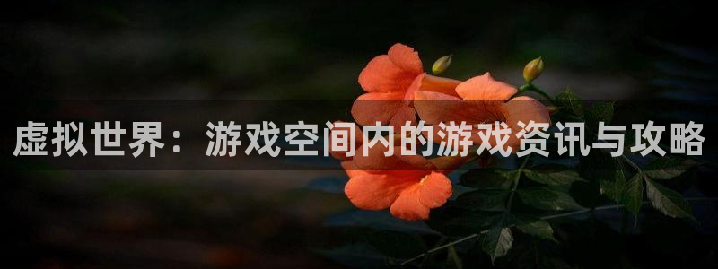 高德娱乐4招商：虚拟世界：游戏空间内的游戏资讯与攻略