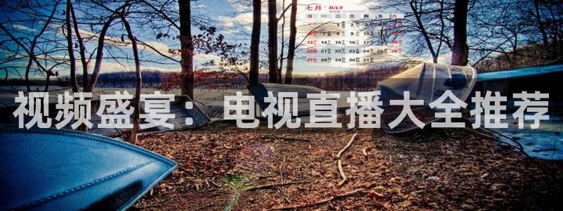 857体育直播在线观看：视频盛宴：电视直播大全推荐