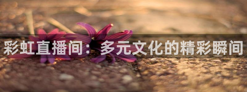 857体育赛事免费直播观看