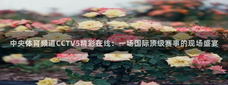 857体育直播nba：中央体育频道CCTV5精彩在线：一场国际顶级赛事的现场盛宴