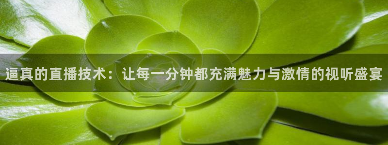 857直播体育足球主播：逼真的直播技术：让每一分钟都充满魅力与激情的视听盛宴
