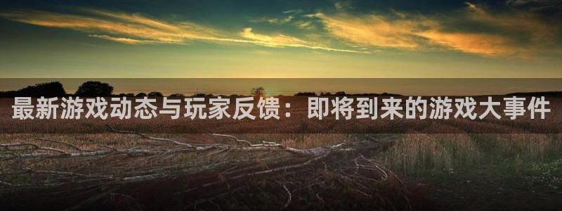 高德娱乐app最新版本更新内容介绍：最新游戏动态与玩家反馈：