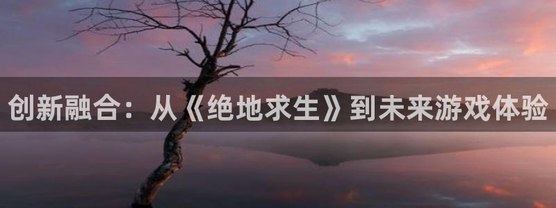 高德娱乐app下载|下载地址：创新融合：从《绝地求生》到未来