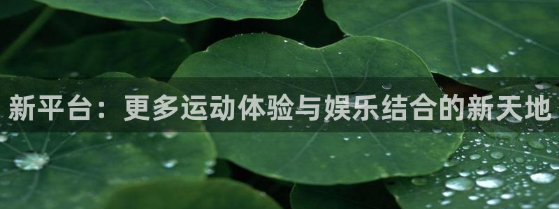 857足球比赛直播