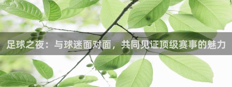857nba直播体育：足球之夜：与球迷面对面，共同见证顶级赛事的魅力