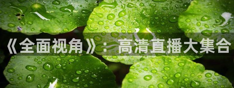857足球直播免费观看高清